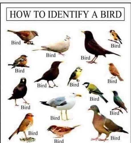 received_1401607851410184