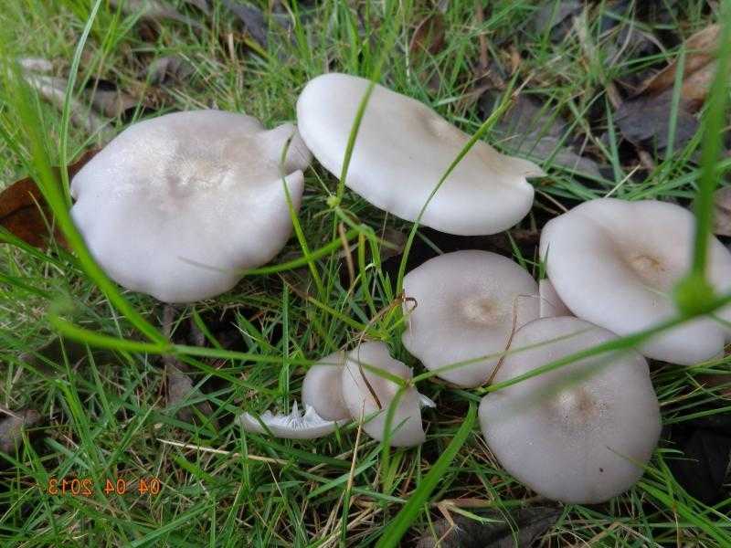 82ffc6f6ad252e49abf9392315d3ce79