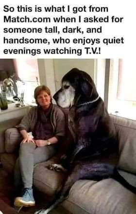 FB_IMG_1662357843755