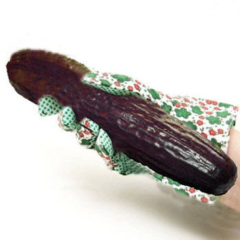 100-pcs-very-rare-black-cucumber-japanese-long-cucumber-vegetable-for-home-vegetables-for-home-garden