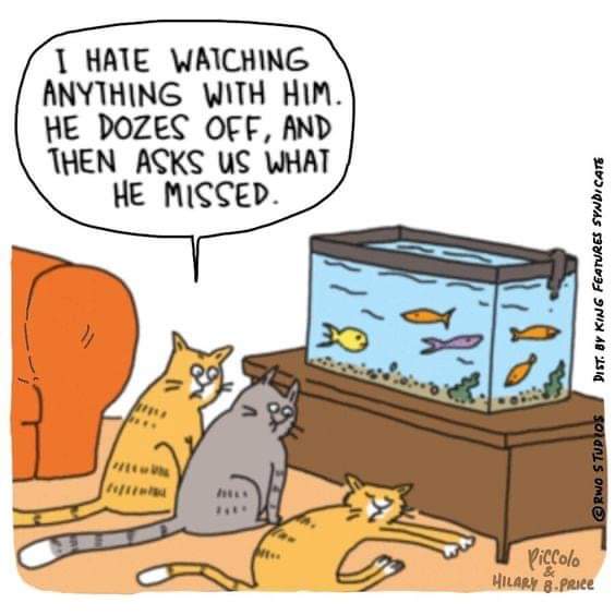 FB_IMG_1663064365441