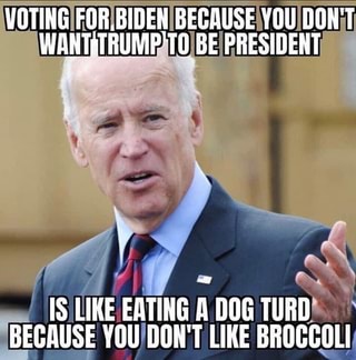 biden-turd