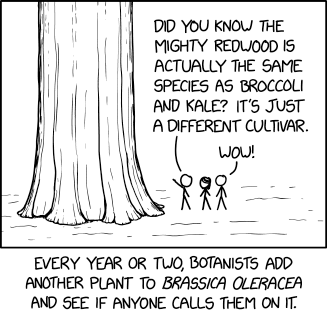 xkcd brassica